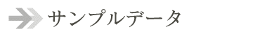 �T���v���f�[�^